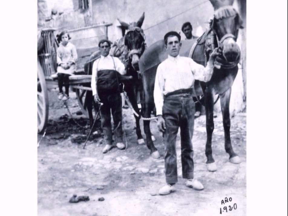 Carro de mulas 1920