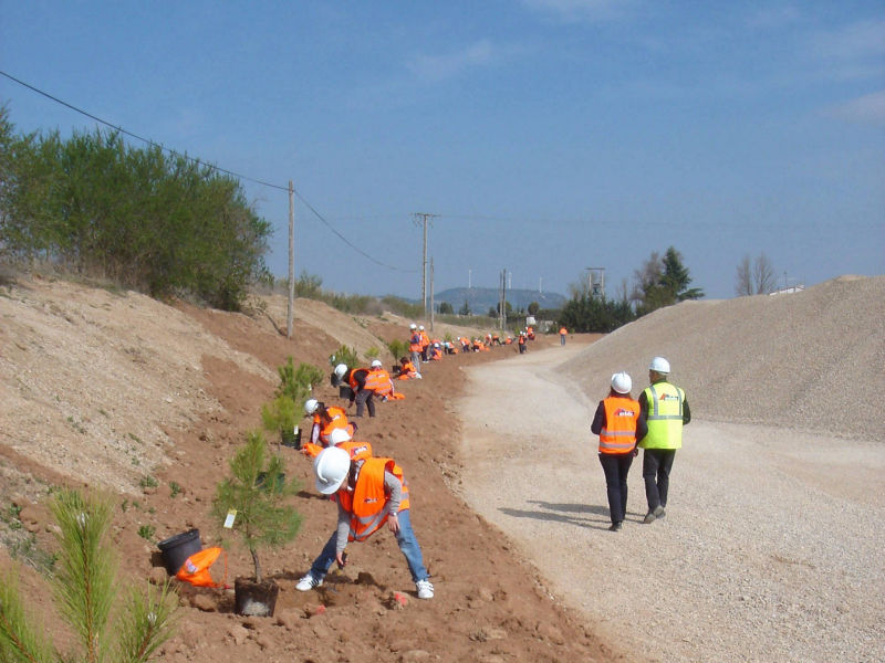 Plantando árboles en la gravera